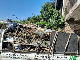 Best Office Cleanout  in , VA